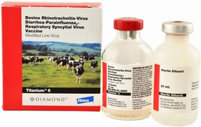 Titanium 5 Cattle Vaccine gourmet cat wet food,chicken in broth cat,fish recipe cat food