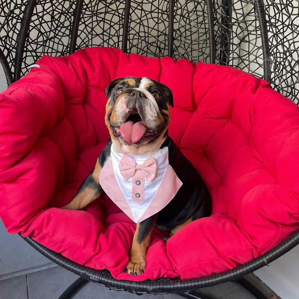 Tuxedo Dog Bandana - Dusty Pink