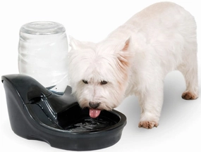 UV Light Infinity Water Purifying Fountain cat food bowl,cat feeder,elevated cat dish