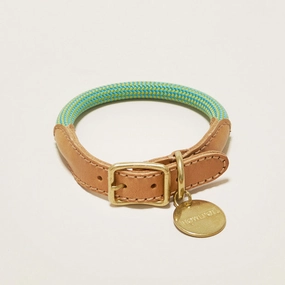 We are Tight: Rope Dog Collar, Palm Tree dog collar,leather dog collar,adjustable dog collar