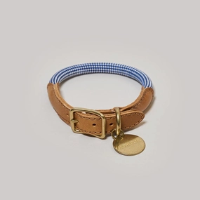 We are Tight: Rope Dog Collar, Purple Fiction dog collar,leather dog collar,adjustable dog collar