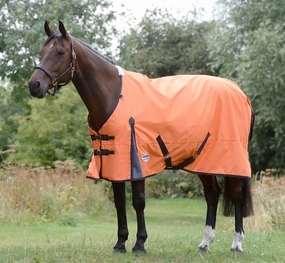 WeatherBeeta ComFITec Classic Standard Neck Turnout Sheet horse blanket,poultry bed sheet,equine sheets