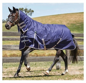 WeatherBeeta ComFiTec Essential Combo Neck Medium Weight Horse Blanket horse blanket,poultry bed sheet,equine sheets
