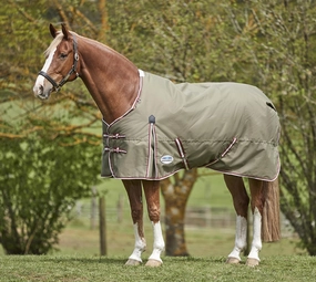 WeatherBeeta ComFITec Essential Standard Neck Medium Weight Horse Blanket horse blanket,poultry bed sheet,equine sheets