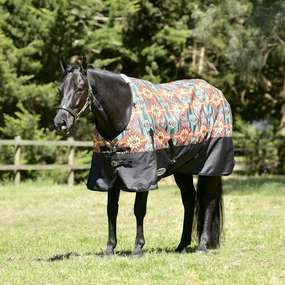 WeatherBeeta ComFITec Essential Standard Neck Turnout Blanket, Medium, Western Sunset Print horse blanket,poultry bed sheet,equine sheets