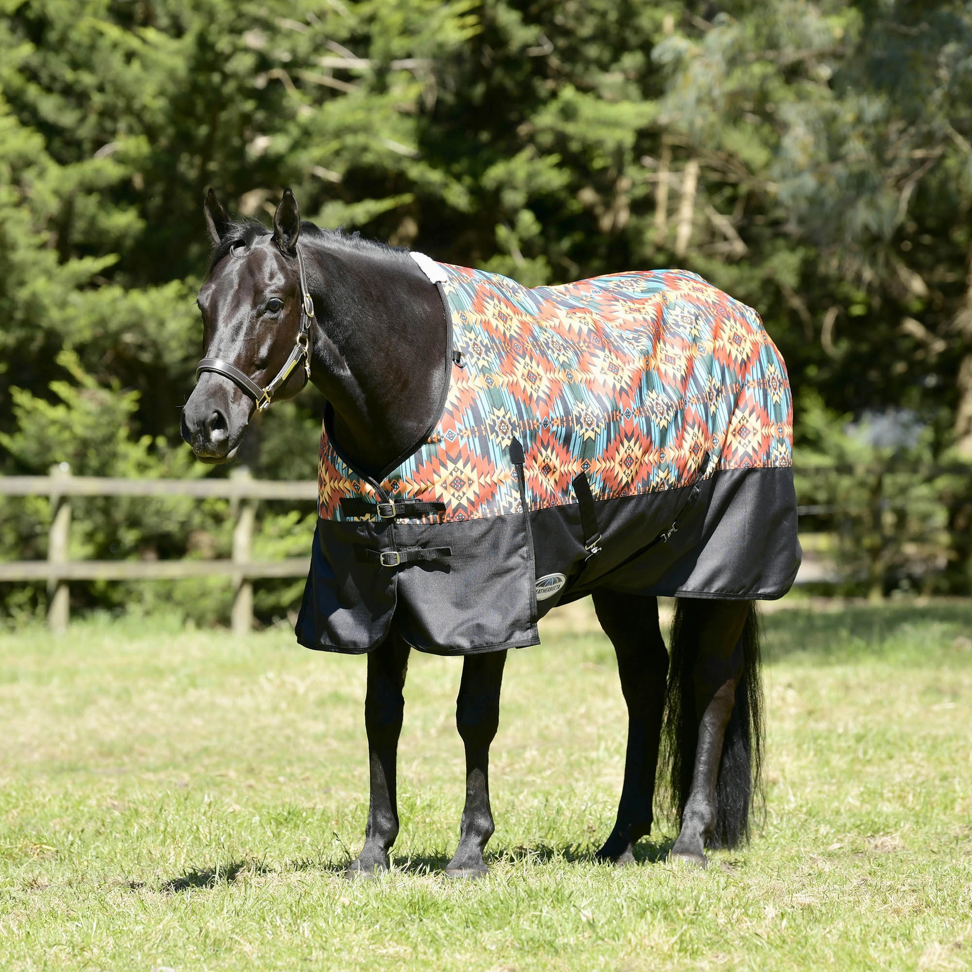 WeatherBeeta ComFITec Essential Standard Neck Turnout Blanket, Medium, Western Sunset Print horse blanket,poultry bed sheet,equine sheets