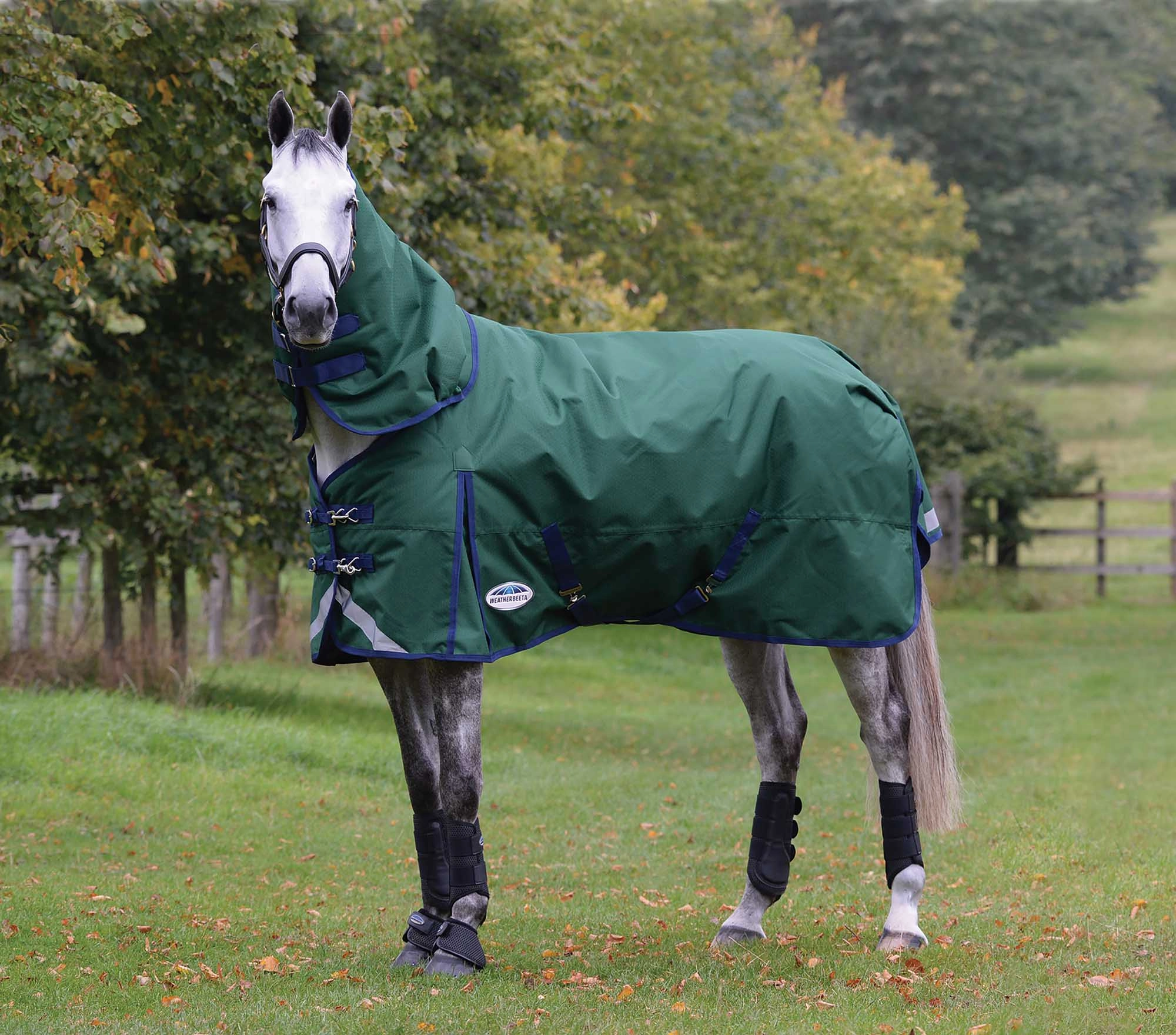 Weatherbeeta ComFITec Plus Dynamic II Detach-A-Neck Heavy Turnout Blanket for Horses