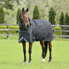 WeatherBeeta ComFITec Plus Dynamic II Detach-a-Neck Turnout Blanket, Medium horse blanket,poultry bed sheet,equine sheets