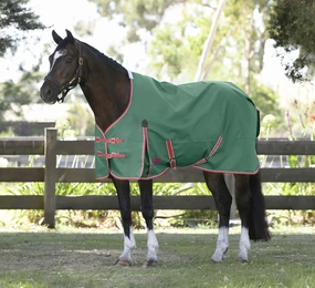 WeatherBeeta ComFITec Prelim Standard Neck Horse Turnout Sheet horse blanket,poultry bed sheet,equine sheets