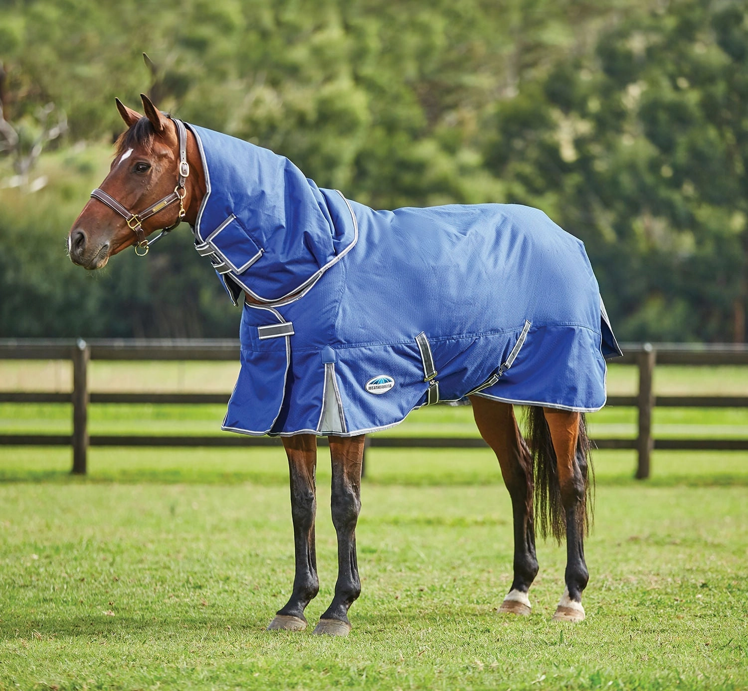 WeatherBeeta ComFITec Premier Free II Detach-a-Neck Medium Horse Blanket horse blanket,poultry bed sheet,equine sheets