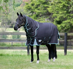 WeatherBeeta ComFITec Ultra Cozy III Detach-a-Neck Heavy Horse Blanket horse blanket,poultry bed sheet,equine sheets