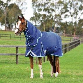 WeatherBeeta ComFITec Ultra Hardi Detach-a-Neck Turnout Blanket, Medium horse blanket,poultry bed sheet,equine sheets