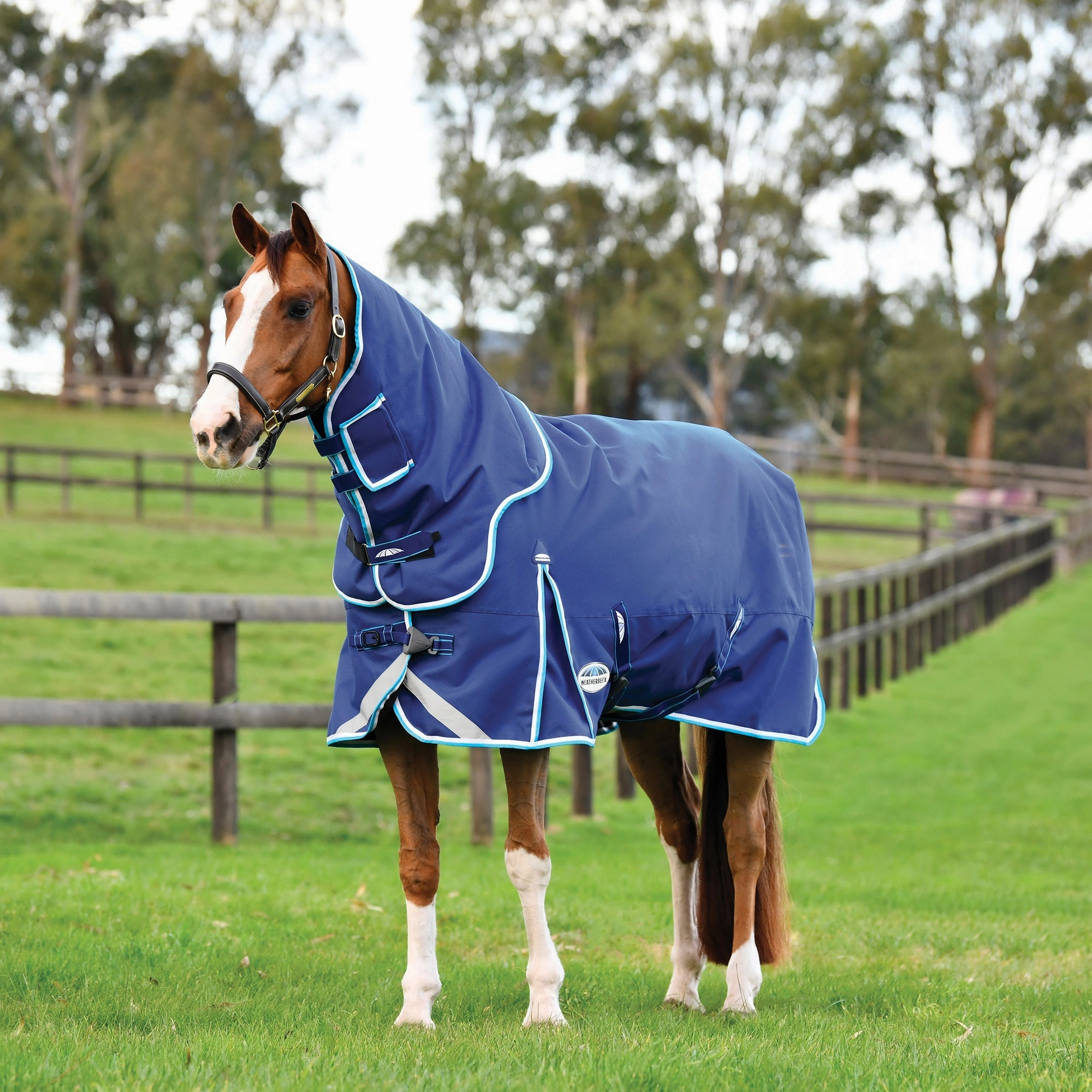 WeatherBeeta ComFITec Ultra Hardi Detach-a-Neck Turnout Blanket, Medium horse blanket,poultry bed sheet,equine sheets
