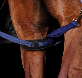 WeatherBeeta Padded Hind Leg Straps, Pair horse blanket,poultry bed sheet,equine sheets