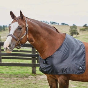WeatherBeeta Satin Shoulder Guard, Black horse blanket,poultry bed sheet,equine sheets