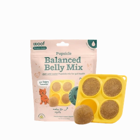 Woof Pupsicle Treat Mix for Dogs - Balanced Belly Pumpkin Recipe - 5.5oz Bag stainless steel bowl,metal pet feeder,steel water dish