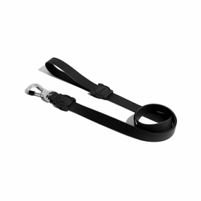 DogAccessories